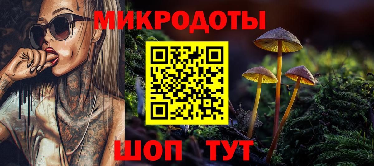 Галлюциногенные грибы Psilocybine cubensis Сертолово